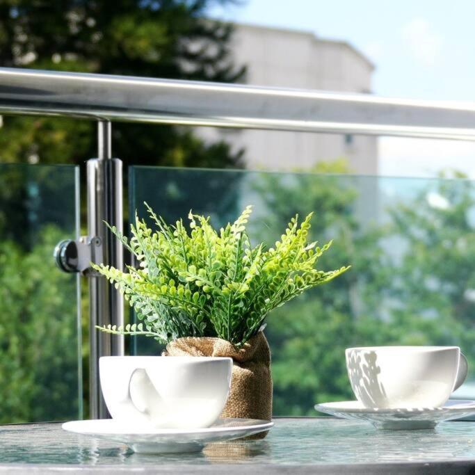 Suites Room Soha II سانتياغو دي لوس كاباليروس المظهر الخارجي الصورة